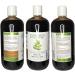 PUROLEO NEEM Oil 16 Fl Oz/473 ML (Packed In Canada) Pure and Natural Neem Oil for Multipurpose Use | Neem Oil extracted from NEEM Plante Chemical free Neem Oil Spray 473 ml (Pack of 1) - Buy Online on GoSupps.com