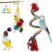 6 PCS Small Bird Swing Toys - Natural Wood & Rope Bungee Bird Toy for Parrots, Parakeets, Cockatiel, Conure, & Other Small Birds - Buy Online on GoSupps.com