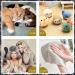 2 Pcs Wool Carders Needle Felting Brush  Hand Carders for Wool  Craft Wool Needle Felting Tools with Solid Wood Handle  Slicker Brush for Dogs  Spinning and Weaving  for Craft Felt Project - Buy Online on GoSupps.com