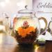 Creano Blooming Tea Sampler Gift Box - 6 Black Tea Flowers - Perfect Gift for Women, Moms, and Tea Lovers - Buy Online on GoSupps.com