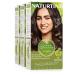 Natureint Biobased |Hair color oohne ammoniak |4G chestnut gold |High proportion of natural ingredients3 pack |510 ml 4g.Chestnut gold 170 ml (3 pack)