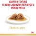 Royal Canin Labrador Retriever Adult in Gravy Wet Dog Food 140g (Pack of 40) - Buy Online on GoSupps.com