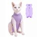YouLhamy Katzenbody after op professional recovery suit for cats cats body for cats operation castration e-neck band alternative for cat anti-lick wound for abdominal wounds l purple-s