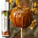 Caramel Apple Natural Lip Balm Moisturizing Lip Care Stick with Shea Butter & Vitamin E Plant-Based Tint-Free Lip Balm Suitable for All Ages - Pack of 3 Caramel Apple 1 Count (Pack of 3)
