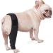 FOMIYES Comfy Brace Dog Acl Brace Hind Leg Dog Joint Dog Leg Braces for Foreleg Leg Sets Comfortable S As Shown - Buy Online on GoSupps.com