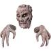 Unique Border Tree Ornament & Creative Bark Face Halloween Makeup Props - Buy Online on GoSupps.com