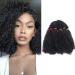 Dark Black Afro Kinky Bulk Hair Braiding Curly Synthetic Hair Extensions For Braiding 11 Inch/43CM Afro Twist Hairpiece