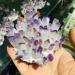 Room Decoration Natural Crystal Cluster Amethyst Specimen Purple Quartz Rough Crystals for Home - Buy Online on GoSupps.com