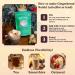 Pestle and Pods GingerBread Reishi Latte and 100% Organic Raw Cacao Reishi Mushroom Ginger Cinnamon Ingredients Coffee Alternative No Added Sugar Vegan & Calming effects from Reishi Unsweetened 23 servings - 70g - Buy Online on GoSupps.com