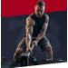 Wheyland 100% Pure Whey Protein Concentrate 100-1000g - Instant Muscle Building| ARLA | White Cookies Flavor - Buy Online on GoSupps.com