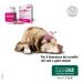 Senilife Plus for the well-being of the brain of older dogs and cats improves cognitive functions and memory for successful brain aging 60 single-dose capsules - Buy Online on GoSupps.com