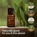 Gya Labs Organic Bay Leaf Essential Oil 10ml - Hair & Aromatherapy - Spicy Herbaceous Scent - 100% Pure & Natural - Buy Online on GoSupps.com