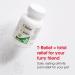 MediNatura T-Relief Pet Arthritis Relief - Arnica +12, 90 Tablets for Pain Relief - Buy Online on GoSupps.com