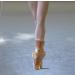 WalBryka High Elastic Ballet Dance Tights - Convertible & Ultra Soft Pantyhose | Pink XS-S (4 Pack) - Buy Online on GoSupps.com