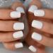 All White Square Glossy Gel Press On Nails - Long Lasting Faux Ongles for Daily Life - Buy Online on GoSupps.com