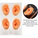 Ear Display Mold Human Ear Model Real Skin Feeling Reusable Waterproof Soft For Store Showcase For Doctor Otolaryngologists For Ear Dispensers - Buy Online on GoSupps.com