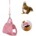 Small Animals Adjustable Harness Vest & Leash Set for Outdoor Walking - Red S | Ideal for Guinea Pigs, Squirrels, Hedgehogs, Ferrets, Rabbits - Buy Online on GoSupps.com