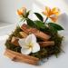 DIVAIN-647 - Inspired by Voce Viva - Perfume Impression for Woman - Musk Fragrance - Buy Online on GoSupps.com