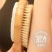 ICANdOIT 2 in 1 Long Handle Bath & Shower Brush with Boar Bristle and Pumice Stone - Exfoliate, Soften Skin, Dry Brushing, Cellulite & Lymphatic Drainage - Buy Online on GoSupps.com