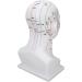 Buy Acupuncture Head Model with Point Markings | Ideal for Facial Treatments & Training Props - 11.8 inches Soft PVC - Buy Online on GoSupps.com