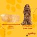 HOWLERS 12.5cm Pack of 20 Natural Rawhide Dog Chew Shoes | Rawhide Shoes For Dogs Made From 100% Natura Hide | Dog Chews Long Lasting Natural Ingredients 360 g (Pack of 1) - Buy Online on GoSupps.com