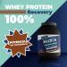Protein Boost Recovery Protein Powerful Maas Gainer and Protein Recovery Whey Protein Chocolate Flavor - Buy Online on GoSupps.com