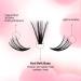 Riya DIY 40D-50D Eyelash Extensions 240pcs Clusters D Curl | Wispy Lashes Volume Individual DIY Clusters - Buy Online on GoSupps.com