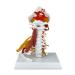 Cervical Spine Model Human Cervical Vertebra Spine with Brain Stem Muscle Thoracic Nerves Anatomical Model Anatomy for Science Classroom Study Display Teaching Medical Model