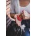 Taragui Mate Xperience : kit Yerba Mate pour d butants - Buy Online on GoSupps.com