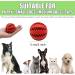 Speedy Panther 2Pcs Dog Treat Dispenser Ball Toy Interactive Dog Toys for Boredom Teeth Cleaning Chew Toy Rubber Ball for Puppy Small Dogs (S) 5cm Blue&Red - Buy Online on GoSupps.com