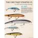 Rebel Lures Jointed Minnow Crankbait Fishing Lure 1 7/8 3/32 oz Silver/Black - Premium Quality for Successful Fishing - Buy Online on GoSupps.com