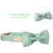 Unique Style Paws - Green Silk Dog Collar for X-Large Pets | Soft Adjustable Perfect Gift for Male & Female Dogs - Buy Online on GoSupps.com