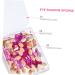 Gogogmee 100pcs Double Ended Eyeshadow Brush Cosmetic Applicators Makeup Brush Sponge Brush Make up Plastic - Buy Online on GoSupps.com