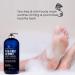 BOTANIC HEARTH Tea Tree Oil Body Wash with Mint - Paraben Free - Odor Control & Skin Relief - 16 fl oz - Buy Online on GoSupps.com