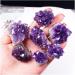 Natural Crystal Rough Crystal Purple Amethyst Hole Quartz Crystal Cluster Geode Druzy Home Decoration Gemstone (Size : 30-40g) - Buy Online on GoSupps.com