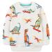 Boys Sweatshirt for Kids Dinosaur Jumper Cotton Casual Top Long Sleeve Pullover T-Shirt Toddler Girls Shirts Baby Clothes 1-8 Years 4-5 Years Dinosaur 06
