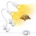 2 pieces of turtle heat lamp with 240cm cable UVB Reptile heat lamp Terrarium lamp lamp with a dimming switch heat pot lamp for aquarium heat lamp Terrarium with 360 flexible clip (no light bulb) white turtles heat lamp