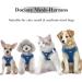 Small Dogs No Pull Harness | Reflective Breathable Mesh | Step-In Vest with Leash | Adjustable for Walking & Training | Blue - Buy Online on GoSupps.com