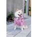 Ellie Dog Wear Pink Zip Up Raincoat with Reflective Buttons, Pockets, and Adjustable Drawstring - Water Resistant and Stylish Dog Raincoat in Size S to XXL - Buy Online on GoSupps.com