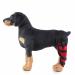 Dog Braces for Back Legs Super Supportive Brace Pet Dog Double Hind Leg Brace Support Belt for Heals Prevents Injuries Sprains Protects Wounds. C Large