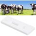 Cow Pregnancy Test Strip - High Accuracy Livestock Veterinary Equipment for Easy International Shipping - Buy Online on GoSupps.com