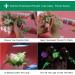 Fluorescent Powder 3 Colors Fluorescent Powder Luminous Powder Paint DIY Pigment Nail Coating Noctilucent Powder (Yellowish Green) - Buy Online on GoSupps.com