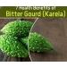 3V Bitter Gourd Powder | Karela Powder | Momordica Charantia | Pavakkai Powder | 100g 3.53 Ounce - Buy Online on GoSupps.com
