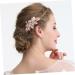 DOITOOL Side Hair Comb Bridal Wedding Hair Comb Bridal Hair Pin Wedding Head Jewelry Wedding Headdress Hair Comb Clip Wedding Headwear Tiara Bride Accessories Wedding Dress - Buy Online on GoSupps.com