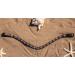 Shop BRIDLERY Browband in Chocolate Rose for Thoroughbreds - Premium Quality & International Shipping - Buy Online on GoSupps.com