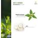 Kerala Ayurveda Calming Body Oil - Ksheerabala Thailam 6.8 Fl Oz | Herbal Massage Oil for Muscle & Joint Support | Revitalising Foot Massage Oil - Buy Online on GoSupps.com