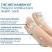 Orthoes Bunion Relief Socks - Projoint Antibunion Compression Socks - 5 Pairs - Buy Online on GoSupps.com