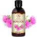 Burdock Oil 250ml - Arctium Lappa Root Extract - 100% Pure & Natural - Natural Hair Oil - Great Benefits for Skin - Hair - Face - Body Care - Glass Bottle - Oils Burdock Seed - Buy Online on GoSupps.com