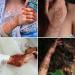Brown Henna Temporary Tattoos for Women - Waterproof, Semi-Permanent Body Stickers for Festivals, Parties - 6 Sheets - Buy Online on GoSupps.com