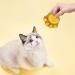 Paw Cat Treats - Natural Cat Paw Biscuits for Oral Cleaning | Healthy Dry Cat Snacks for Indoor Cats | Kitten Treats and Training Biscuits | Chewy Cat Food Treats for Kittens | Cat Snacks Treats 1 count (Pack of 1) - Buy Online on GoSupps.com